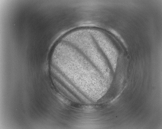 X0000068281167200605051834