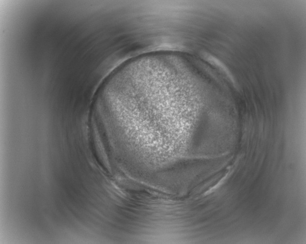 X0000068281170200605051834