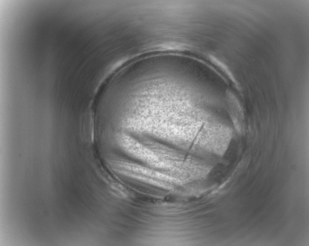 X0000068281171200605051834