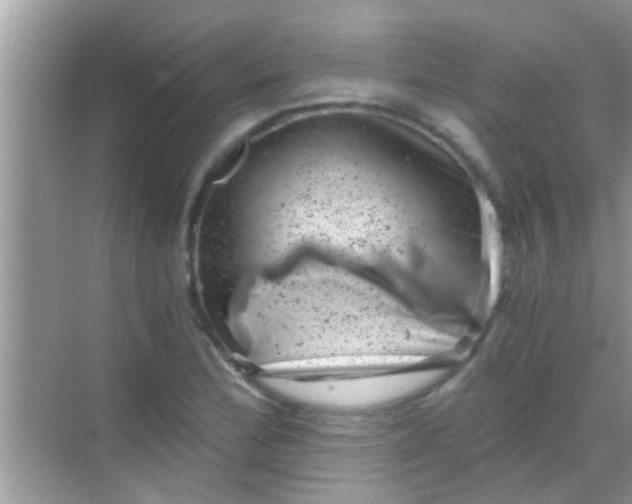 X0000068281172200605051834