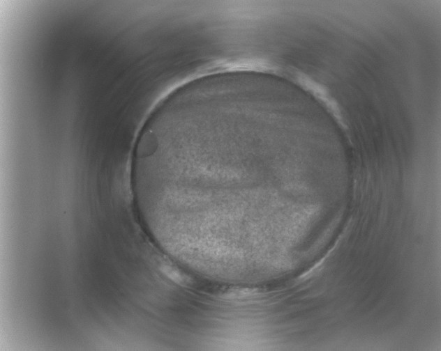 X0000068281174200605051834