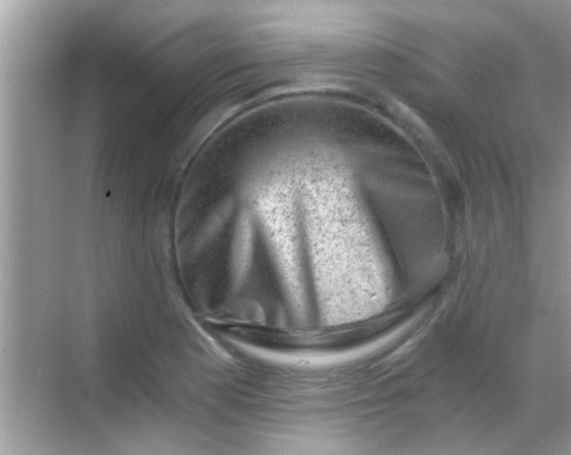 X0000068281177200605051834