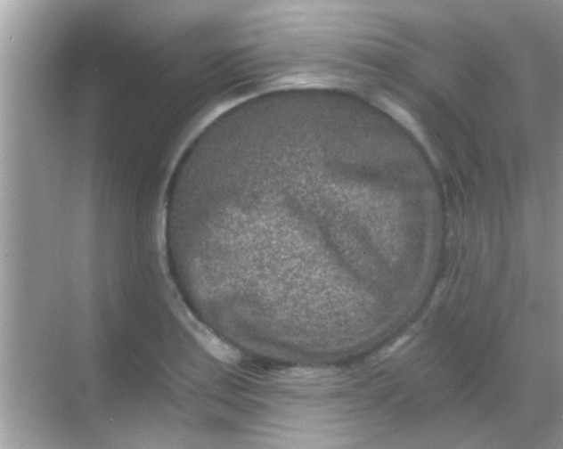 X0000068281179200605051834