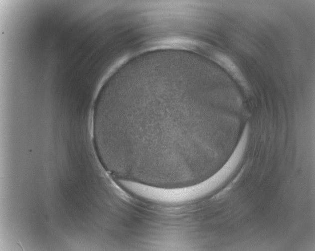 X0000068281180200605051834