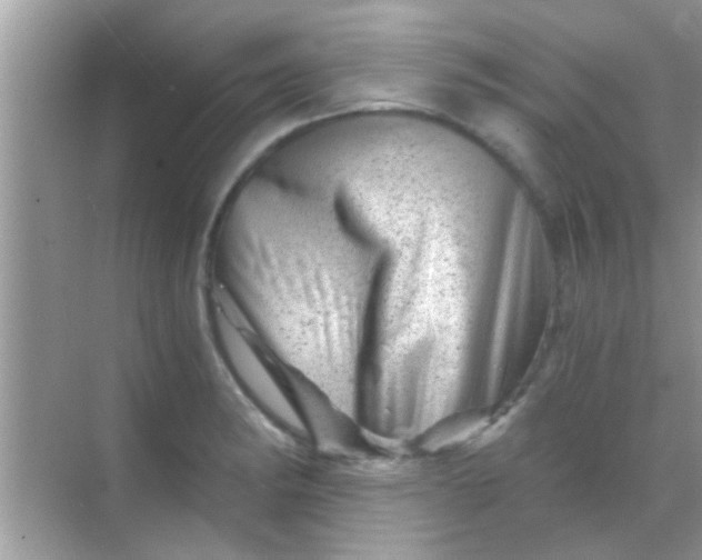 X0000068281182200605051834