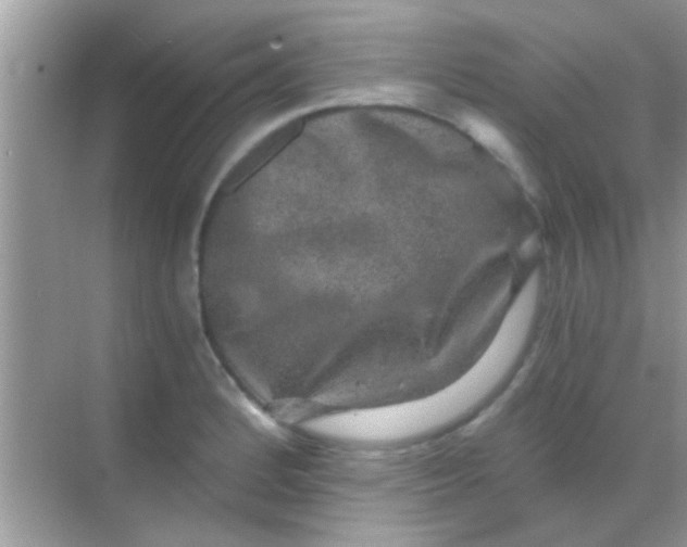 X0000068281184200605051834