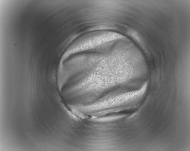 X0000068281185200605051834