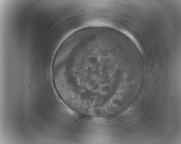 X0000068281191200605051833