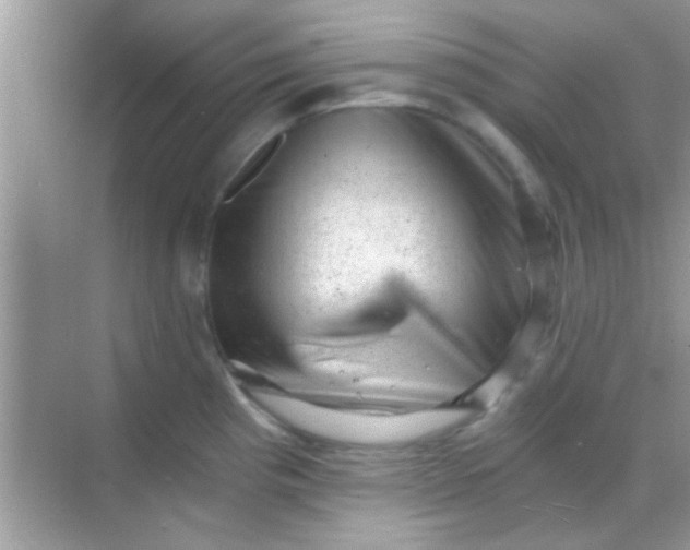 X0000068281193200605051833