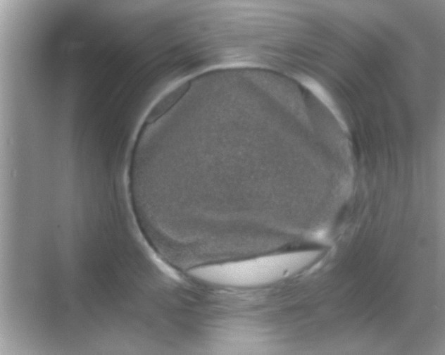 X0000068281197200605051833