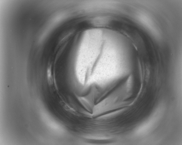 X0000068281198200605051833