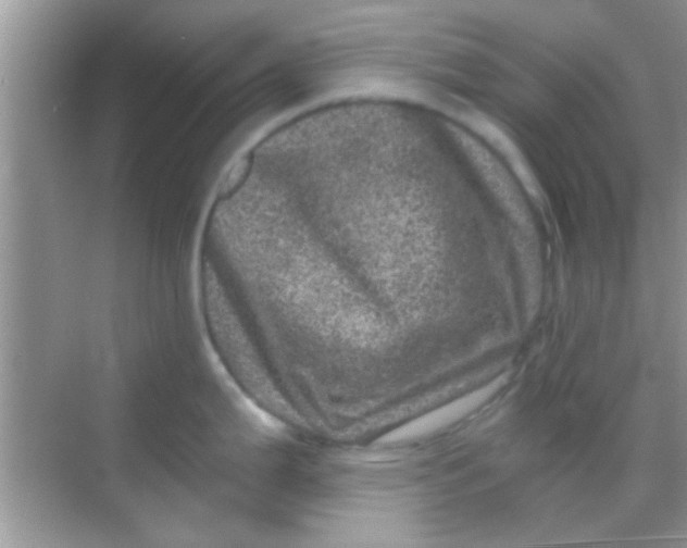 X0000068281199200605051833