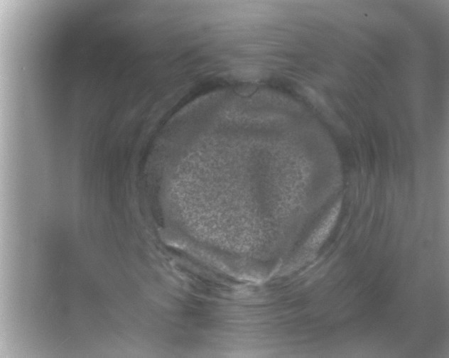 X0000068281201200605051832