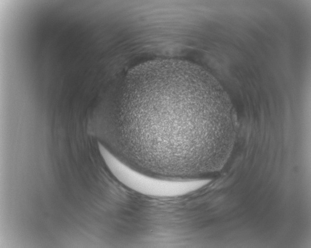 X0000068281202200605051832