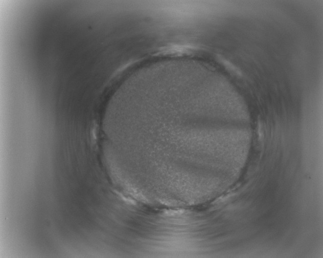 X0000068281206200605051833