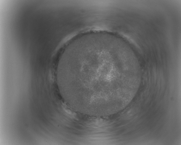 X0000068281207200605051833