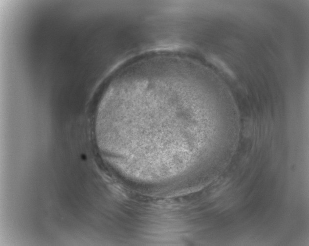 X0000068281208200605051833