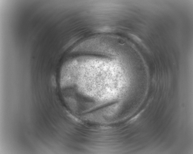 X0000068281209200605051833