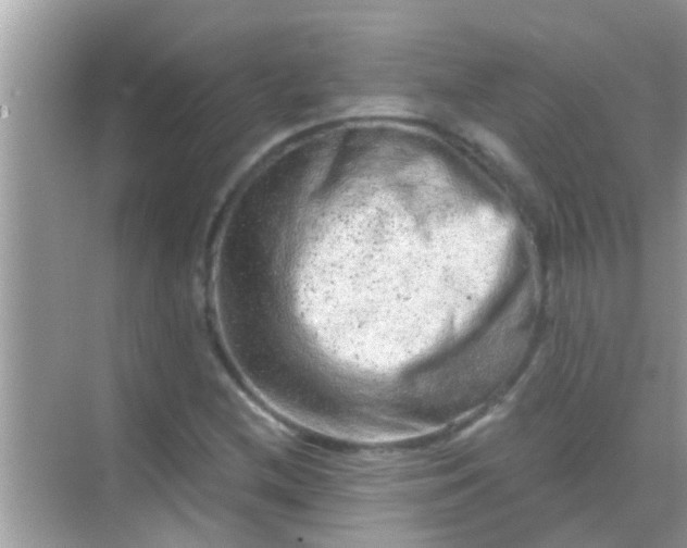 X0000068281212200605051833