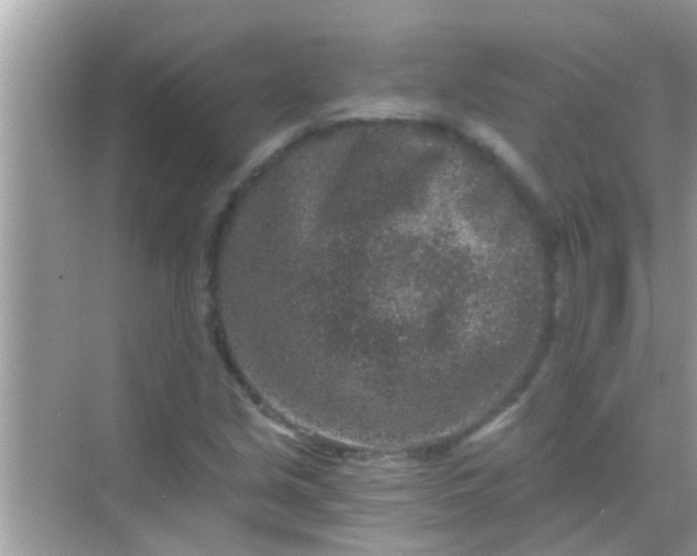 X0000068281213200605051833