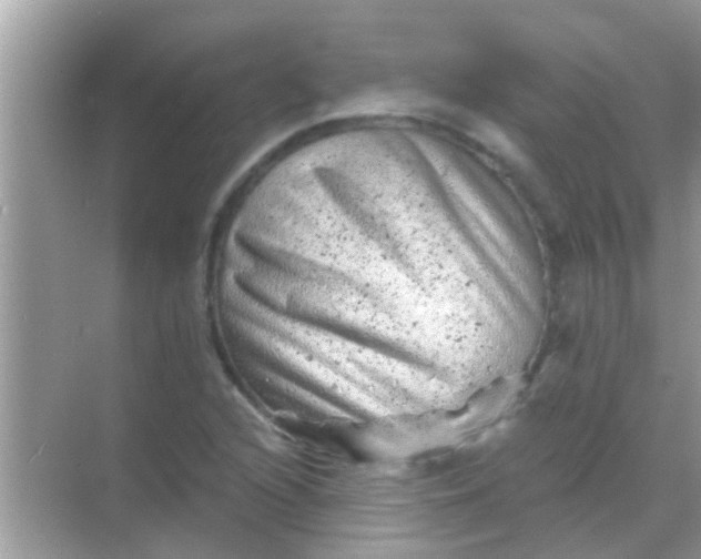 X0000068281216200605051833