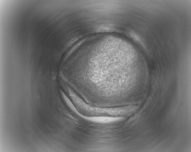 X0000068281217200605051833