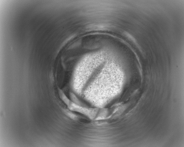 X0000068281218200605051833