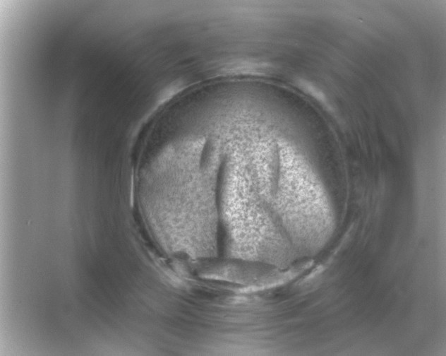 X0000068281219200605051833