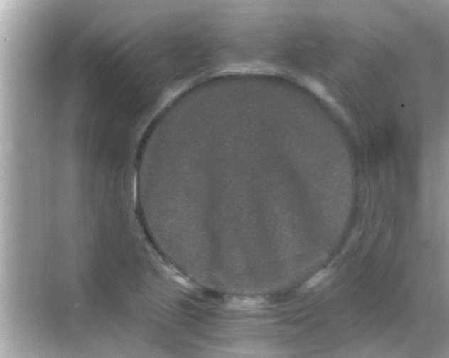 X0000068281221200605051833