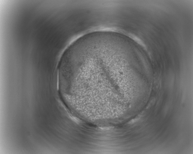 X0000068281223200605051833