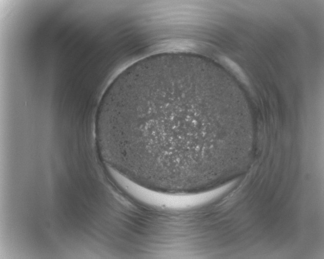 X0000068281226200605051833