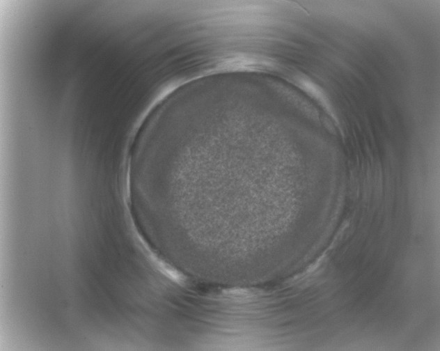 X0000068281227200605051833