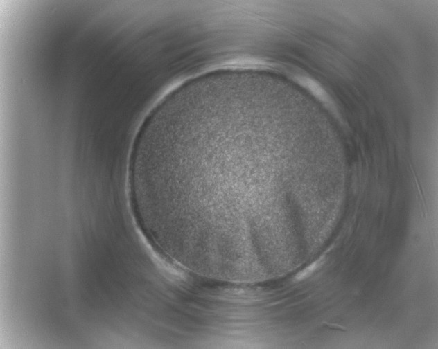 X0000068281229200605051833