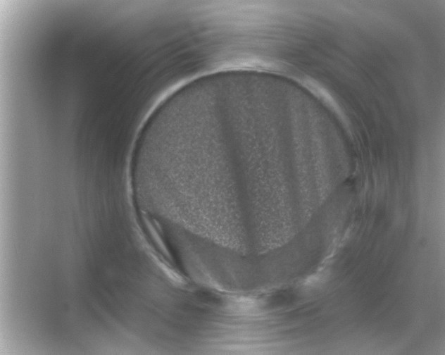 X0000068281230200605051833