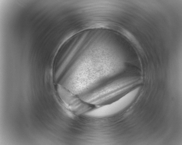 X0000068281234200605051833