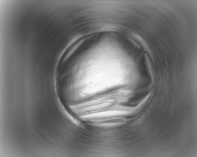 X0000068281235200605051833