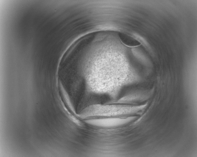 X0000068281236200605051833