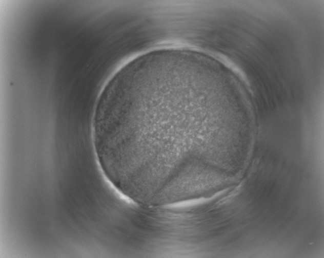 X0000068281239200605051833