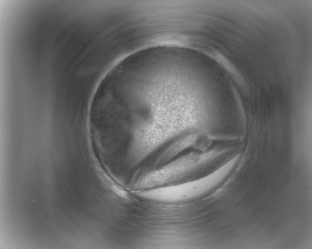 X0000068281240200605051833