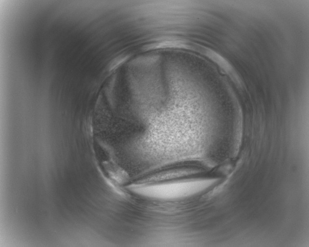 X0000068281241200605051833