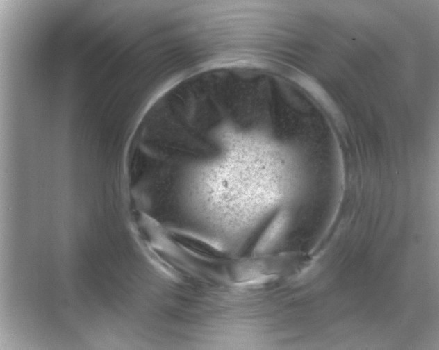 X0000068281242200605051833