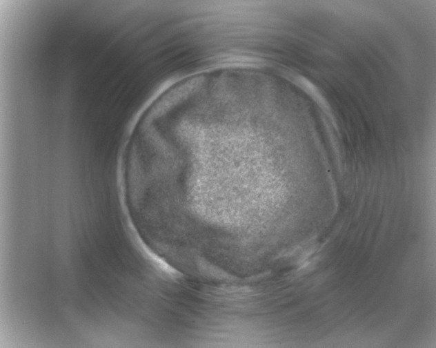 X0000068281243200605051833