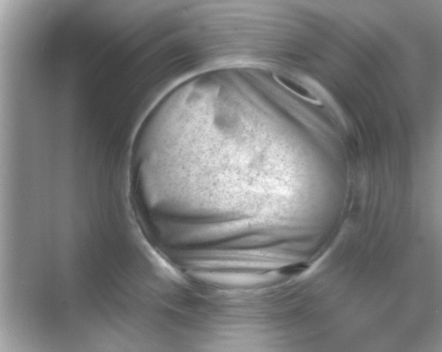 X0000068281244200605051833