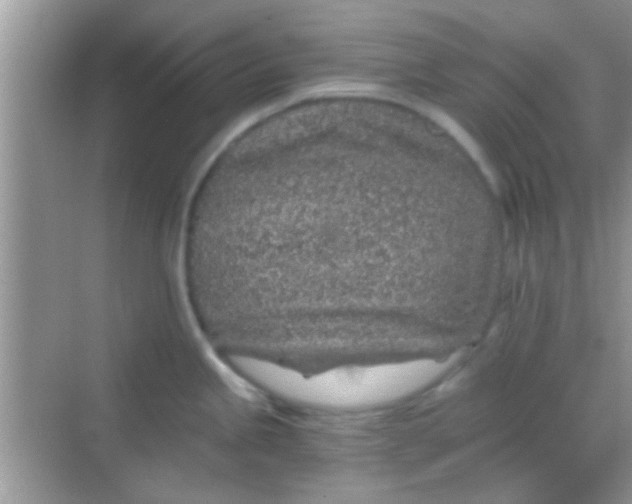 X0000068281245200605051833