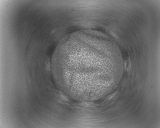 X0000068281251200605051832