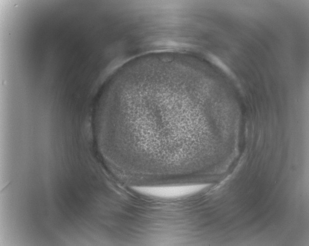 X0000068281259200605051832