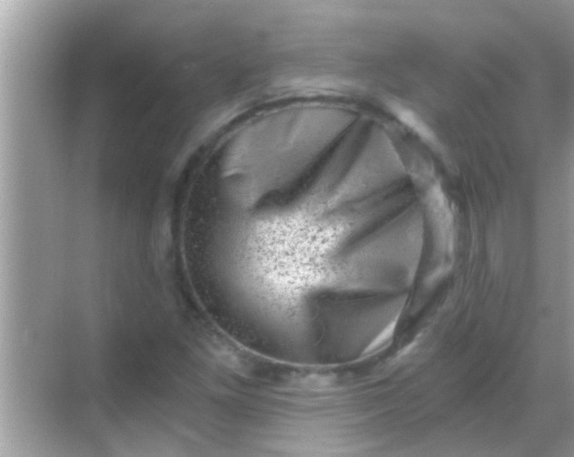 X0000068281261200605051832