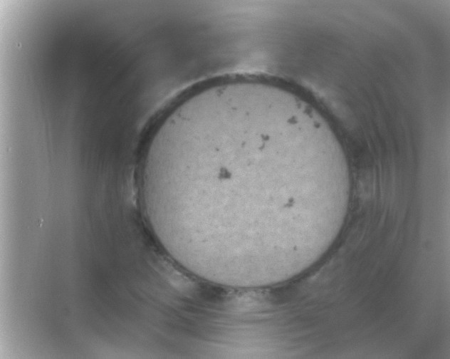 X0000068281262200605051832