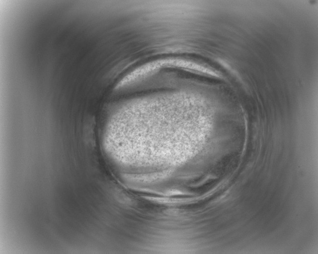 X0000068281265200605051832