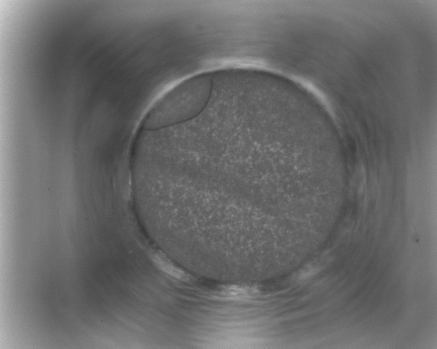 X0000068281271200605051832